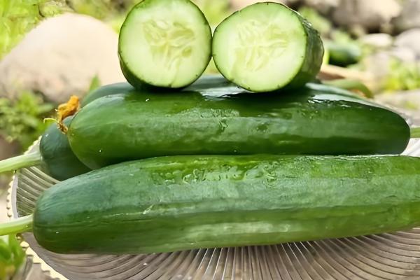 好吃又高产的黄瓜品种,丰元6号青瓜、青二号等品种满足条件