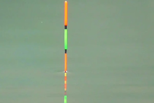 用几号金袖钩钓白条，可用2-3号金袖钩