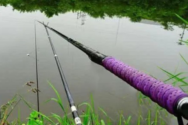 用几号金袖钩钓白条，可用2-3号金袖钩