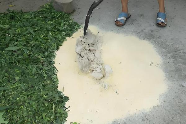 能不能用豆腐渣喂母羊，富含营养且饲喂后没有危害