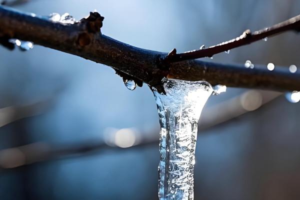 大寒是不是最冷的节气,一般是小寒更冷