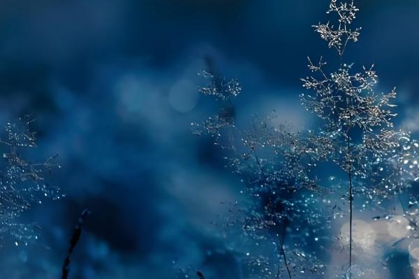 大寒是不是最冷的节气,一般是小寒更冷