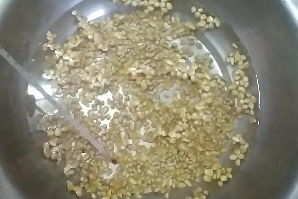 玉米苗卷叶的原因,可能是高温干旱吸收肥水不足