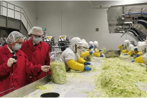 家庭办厂项目有哪些，推荐以下6个项目