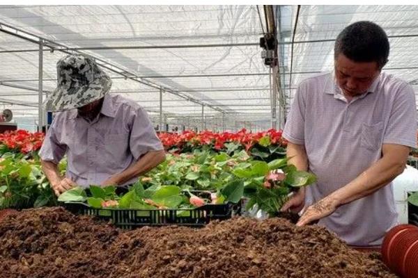 家庭办厂项目有哪些，推荐以下6个项目