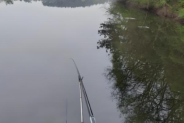 朝天钩简介，适合用传统钓法钓鲫鱼、鲤鱼等