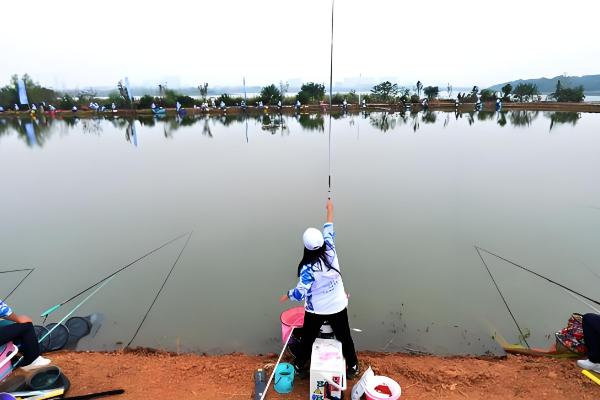 朝天钩简介，适合用传统钓法钓鲫鱼、鲤鱼等
