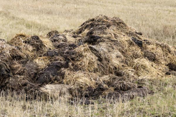 假劣有机肥原材料,有城市污水沉淀的污泥、风化煤等