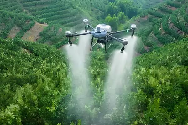 敌草快的简介，属于传导触杀灭生性除草剂