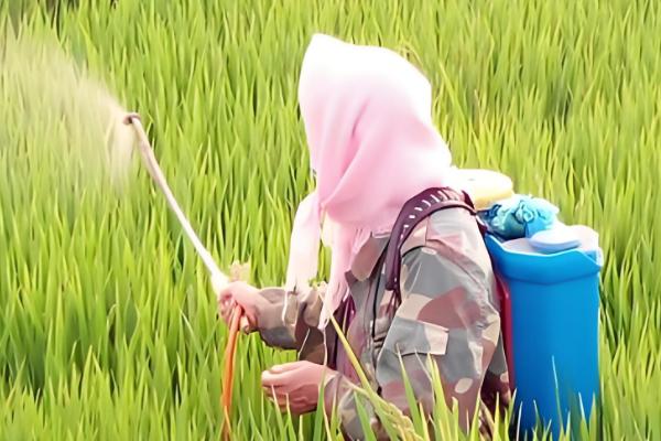 敌草快的简介，属于传导触杀灭生性除草剂