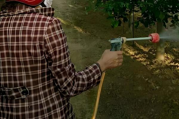 敌草快的简介，属于传导触杀灭生性除草剂