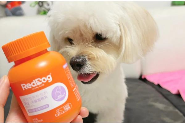 如何正确给狗狗补钙，一定要使用优质狗粮喂食