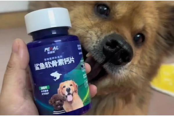 如何正确给狗狗补钙，一定要使用优质狗粮喂食