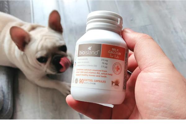 如何正确给狗狗补钙，一定要使用优质狗粮喂食