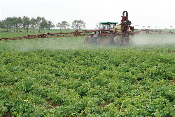 马铃薯黑胫病用哪种药,可用甲霜灵锰锌可湿性粉剂