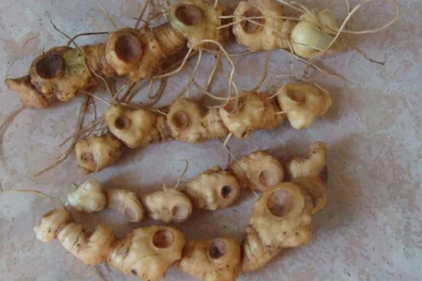 黄精的价格，一斤需要7-25元左右