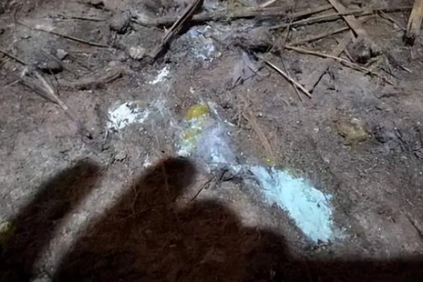 鸭子为何不吃东西，可能是患有病毒性肝炎、鸭瘟等疾病