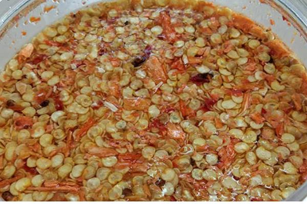 甜椒种子如何处理发芽快,播种前置于清水中浸泡12-24小时