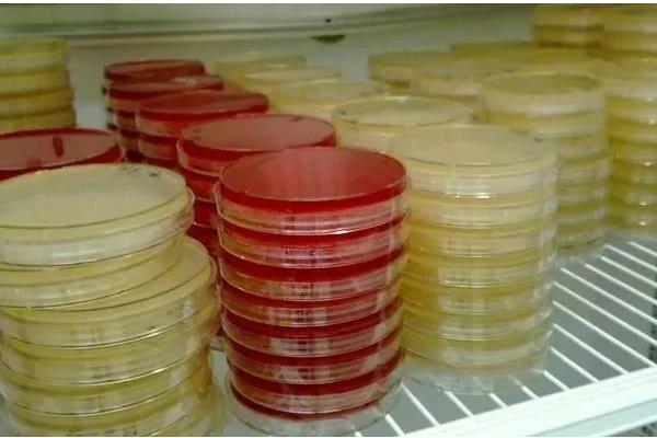 怎么养殖灵芝，把温度保持在22-28℃