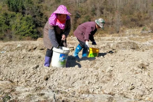 怎么鉴别土壤是否肥沃，肥土颜色深、瘦土颜色浅