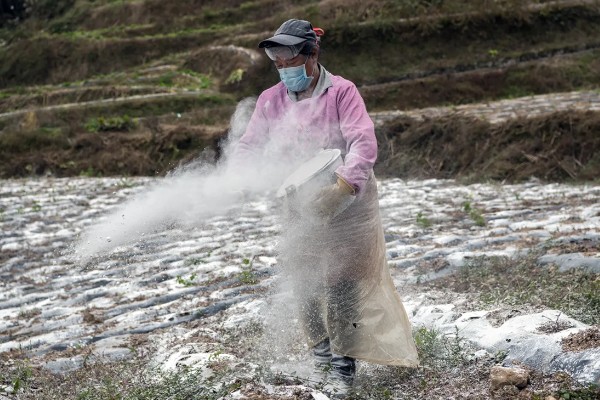 怎么鉴别土壤是否肥沃，肥土颜色深、瘦土颜色浅