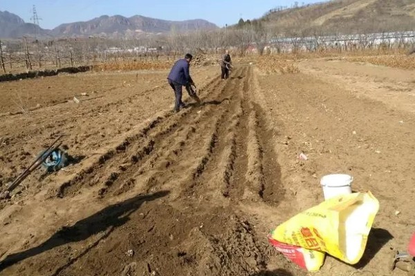 怎么鉴别土壤是否肥沃，肥土颜色深、瘦土颜色浅