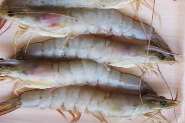 墨吉对虾的产地，国内广泛分布于广东、海南等地