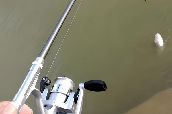 中国矶钓竿推荐，推荐光威大矶、波浪二代等