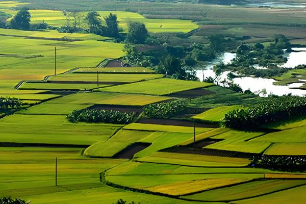 农业的未来发展趋势,主要有以下6种形式