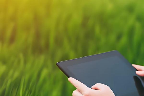 农业的未来发展趋势,主要有以下6种形式