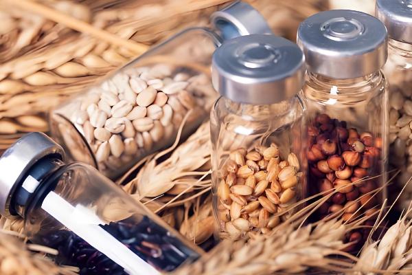 农业的未来发展趋势,主要有以下6种形式