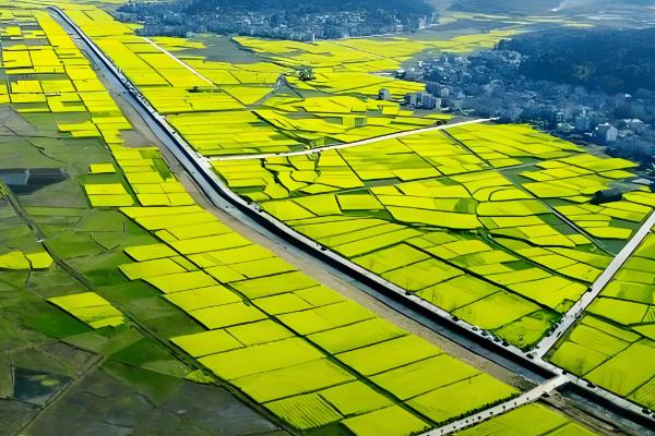 农业的未来发展趋势,主要有以下6种形式