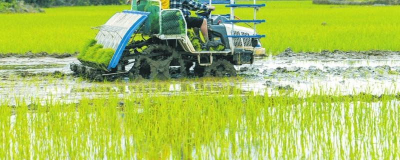 插秧机插秧深浅不一如何处理，将各个链箱校正于同一水平面上