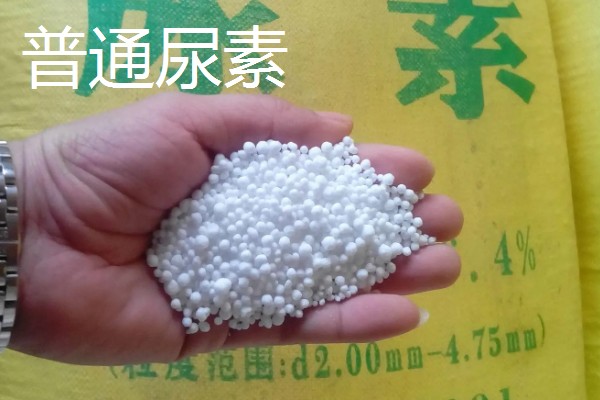 购买尿素要注意什么，认真检验产品的合格证和包装标识