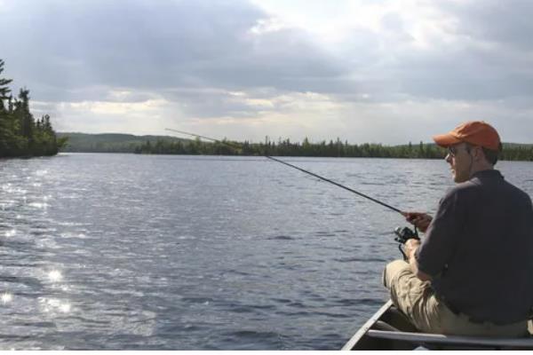 太阳鱼有什么生活习性，水温低于5℃时会休眠