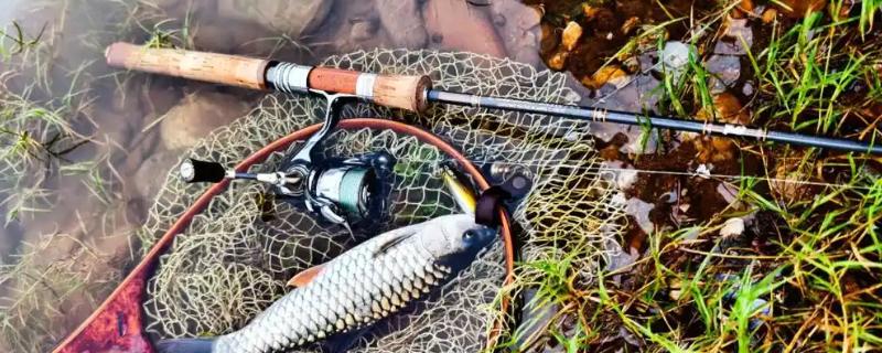 溪流竿用长节还是短节，各有优缺点没有肯定的答案