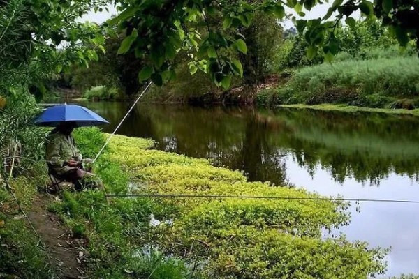 阴天能不能钓鱼，阴天钓鱼要使用雾化饵料
