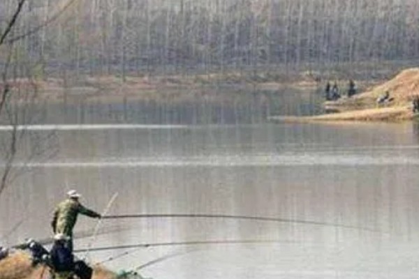 阴天能不能钓鱼，阴天钓鱼要使用雾化饵料