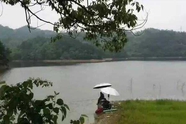 阴天能不能钓鱼，阴天钓鱼要使用雾化饵料