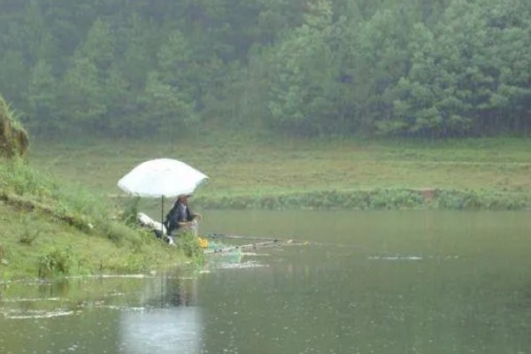 阴天能不能钓鱼，阴天钓鱼要使用雾化饵料