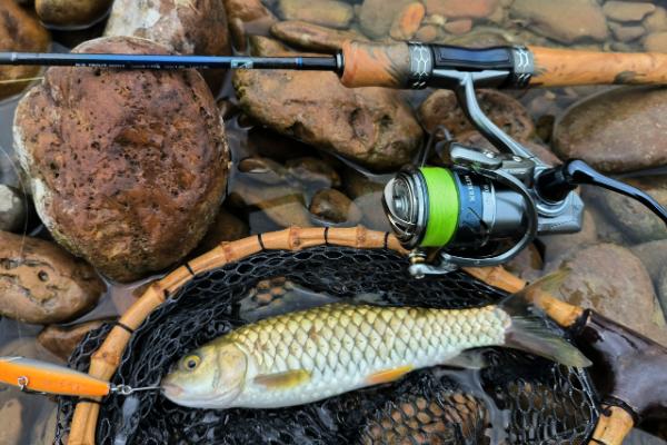 溪流竿用长节还是短节，各有优缺点没有肯定的答案