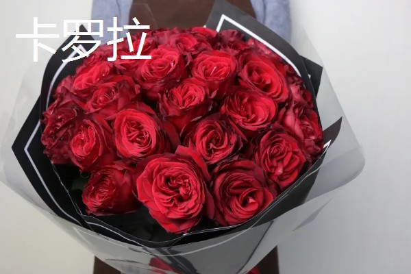 玫瑰花的种类,有一万五千多种