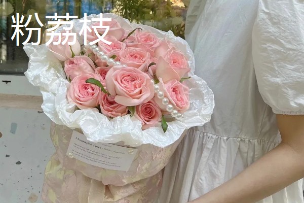 玫瑰花的种类,有一万五千多种