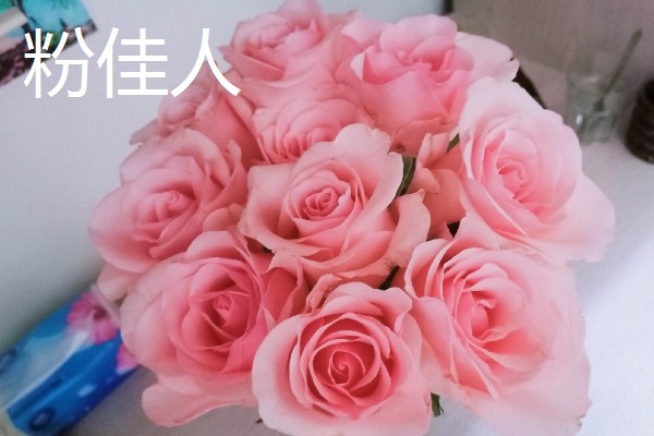 玫瑰花的种类,有一万五千多种