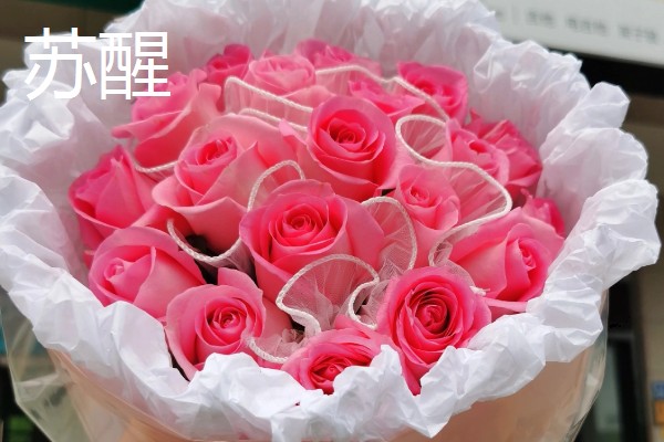 玫瑰花的种类,有一万五千多种