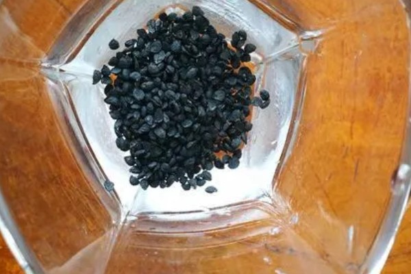 韭菜籽多久发芽，一般会在1个星期左右发芽