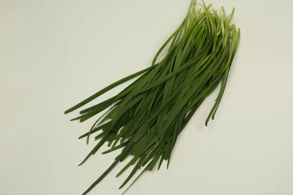 韭菜籽多久发芽，一般会在1个星期左右发芽