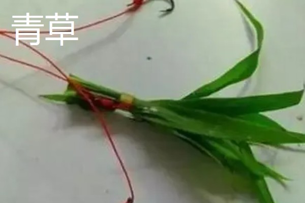 7月份钓草鱼用哪种饵料,首选青草、玉米粒等素饵