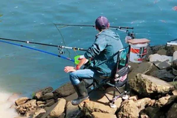 7月份钓草鱼用哪种饵料,首选青草、玉米粒等素饵