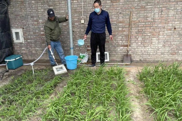 韭菜病虫害的防治方法,发生疫病可喷施甲霜灵等药物